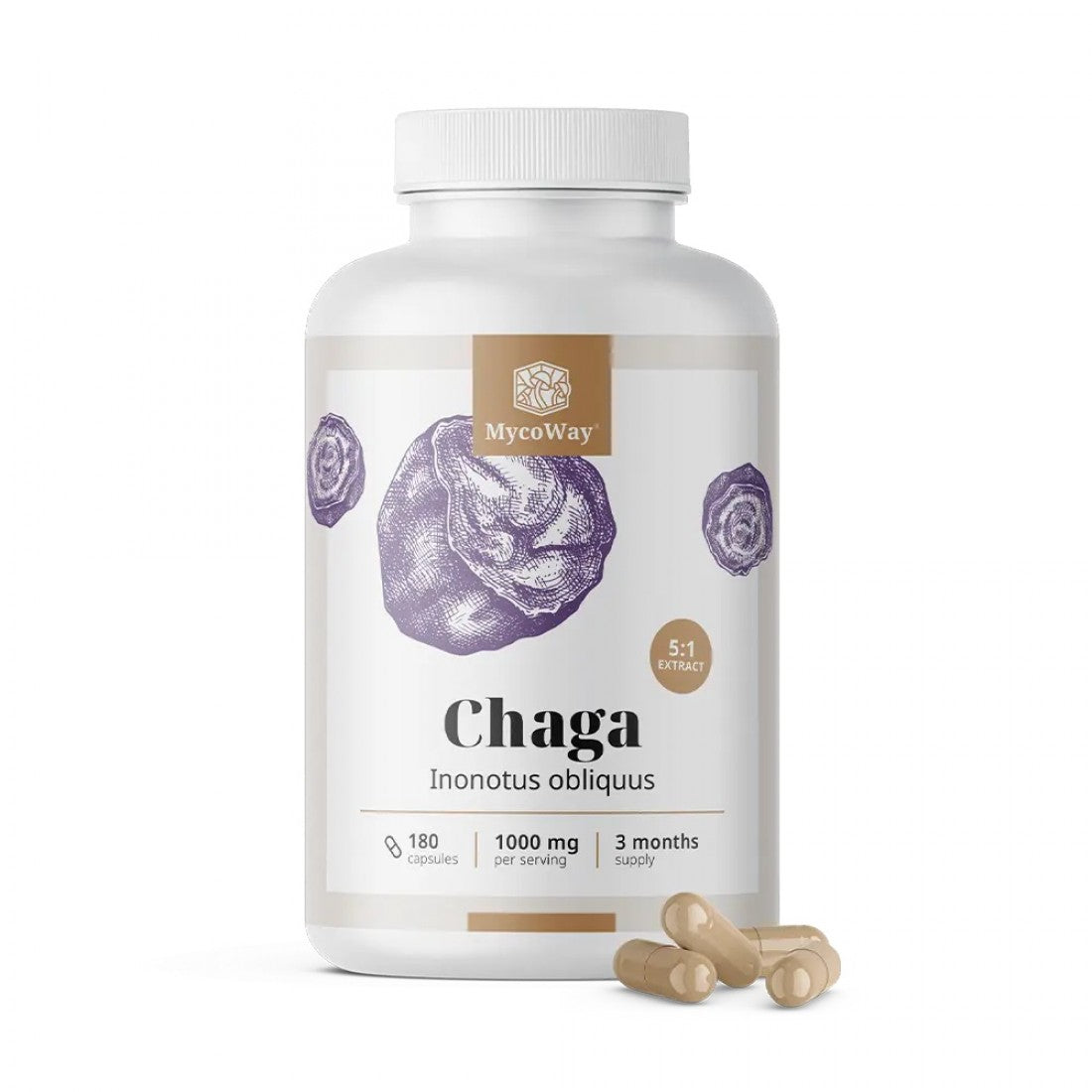 Chaga 1000 mg - Εκχύλισμα 5:1 MycoWay 180 caps