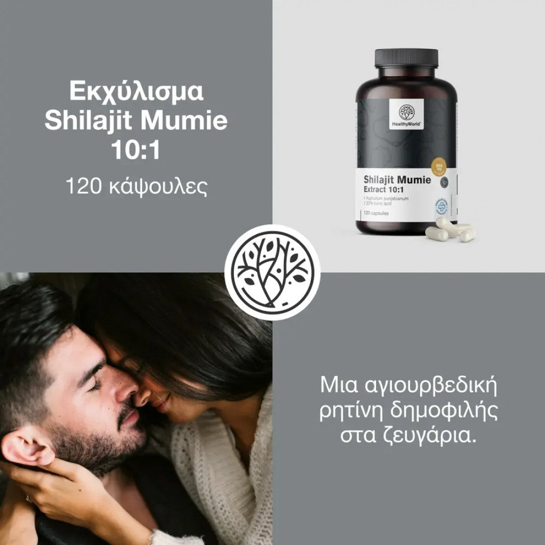 Εκχύλισμα Shilajit Mumie 10:1 HealthyWorld 120 caps