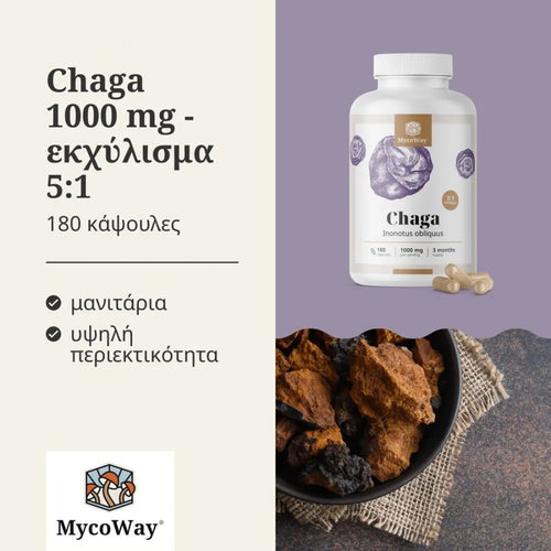 Chaga 1000 mg - Εκχύλισμα 5:1 MycoWay 180 caps