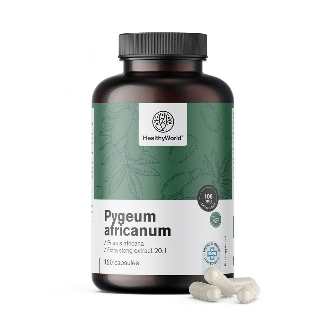 Pygeum - Εκχύλισμα Αφρικανικού Δαμάσκηνου HealthyWorld 120 caps