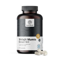 Εκχύλισμα Shilajit Mumie 10:1 HealthyWorld 120 caps